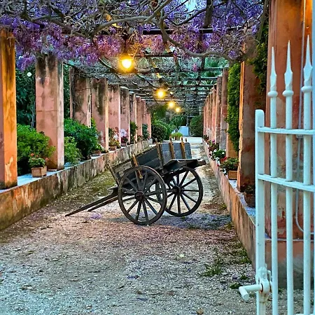 Angelina - Charming & Trapani