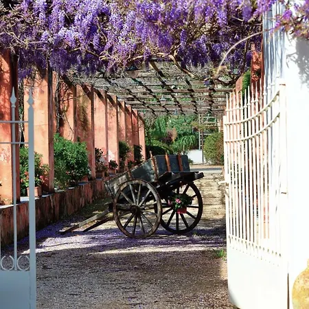 Angelina - Charming & Apartamento